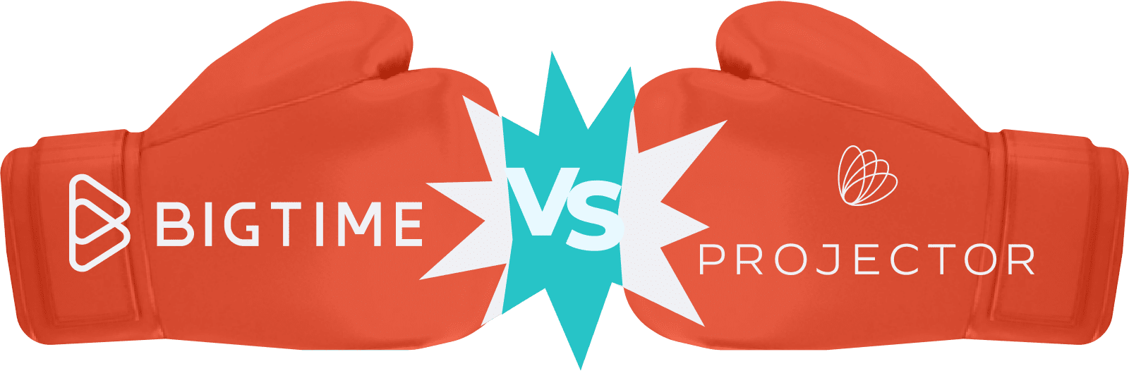 vs Projector Comparison BigTime Software